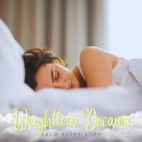 Sleep Therapy - Calm Sleep Zone