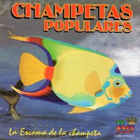 Suerte Contigo - El Afinaito