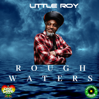 Rough Waters - Little Roy