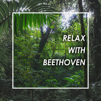 Beethoven: Mass in C Major, Op. 86 - Kyrie - Charlotte Margiono & Catherine Robbin & William Kendall & Alastair Miles & Orchestre Révolutionnaire et Romantique & John Eliot Gardiner & Ludwig van Beethoven