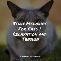 Calmness - Cat Music Experience & Music for Pets Library & Music for Cats TA