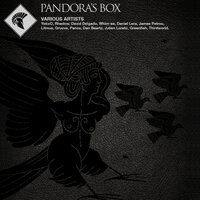 Reflection - Dan Baartz