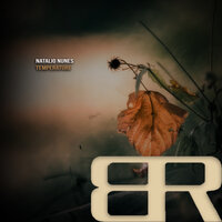 Temperature - Natalino Nunes