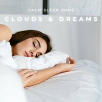 Music for Sleep - Calm Sleep Zone