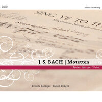 Intonation/Du heilige Brunst, BWV 226 - Julian Podger & Trinity Baroque & Elin Manahan Thomas & Christopher Adams & Kate Hamilton & Clare Wilkinson & Johann Sebastian Bach