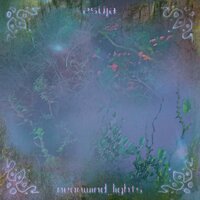 coraline az antaresről - ZSÜJA & Antares