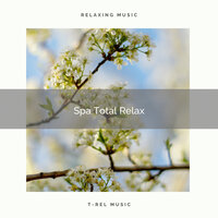 Cicadas and Virgin Songs for Spa pt. 1 - Spa Music Hour