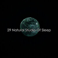 мир в саду - Animal and Bird Songs