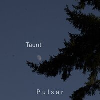 Taunt - Pulsar