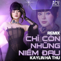 Chỉ Còn Những Niềm Đau - Kaylin hà thu & Domino