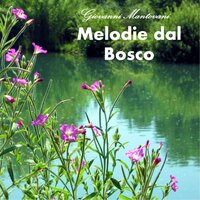 Sonata for Violin and Piano No. 1 in A Major, Op. 13: IV. Allegro quasi presto - Giovanni Mantovani & Angelo Mantovani & Габриэль Форе