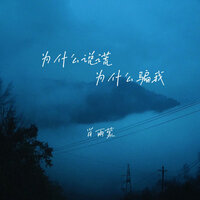 为什么说谎为什么骗我 - 肖雨蒙 & 彭锐