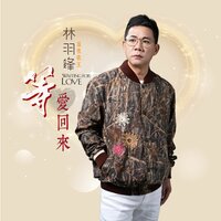 我願再錯 - 林羽锋