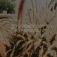 Conduciendo - Canção de Ninar Bebê & Musica Relaxante & Meditación Maestro