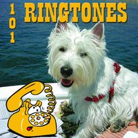 Domenico modugno: Tu si 'na cosa grande - Giovanna