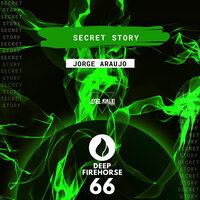 Secret Story - Jorge Araujo
