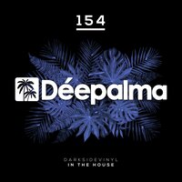 In the House - Darksidevinyl