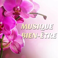 Harp Music for Reflexology - Zen da Berg