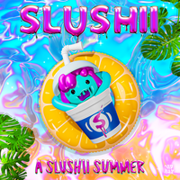 H8 December - Slushii & Aviella & Mackenzie Sol