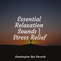 Ambient Textures - Reiki Tribe & Egyptian Meditation Temple & Zen Music Garden