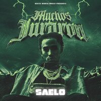 Muchos Juraron - Saelo