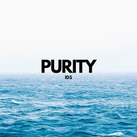 Purity - IDS