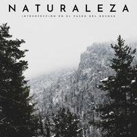 Sonidos De Meditación - Sonidos Naturaleza & Musica relajante con sonidos de la naturaleza & Relajante