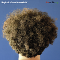 We've Been Thru It - Reginald Omas Mamode IV