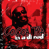 Tonight - Cocoa Tea