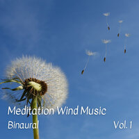 Binaural Beats Therapy - Binaural Beats Recordings & Native American Meditations & Spa Music Experience