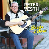 Solen skinner - Peter Vesth