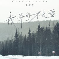 我等的不是雪 - 王超然
