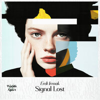 Signal Lost - Erdi Irmak