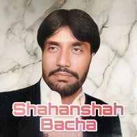 Wor Ta Wardangam Ka Cha Woly Janan Dai Pake - Shahanshah Bacha