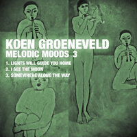 Lights Will Guide You Home - Koen Groeneveld