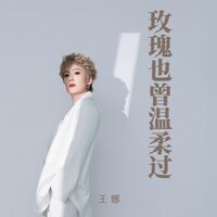 玫瑰也曾温柔过 - 王娜