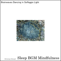 Mystical Journey of Sound Healing Touching Emotional Depths - Sleep BGM Mindfulness