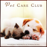 Cat Music Experience - Pet Care Club & Cat Music & Cat Music Experience