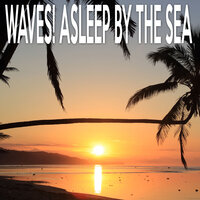 Waves and Birds by the Boardwalk - Color Noise Therapy