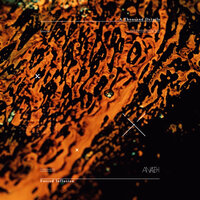 The Waiting Game - A Thousand Details