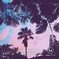 Moonscape - Weird Sounding Dude & VieL