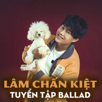 Nỗi Đau Xót Xa - Lâm Chấn Kiệt