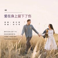 爱在身上留下了伤 - 安儿陈