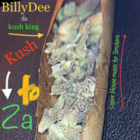 Sausage - BillyDee da Kush King & Showdown & Rick Ruckus & B Daht