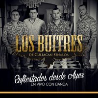A Toda Prueba - Los Buitres De Culiacán Sinaloa