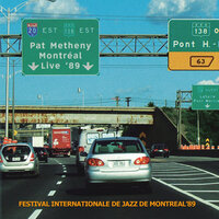 Better Days Ahead - Pat Metheny