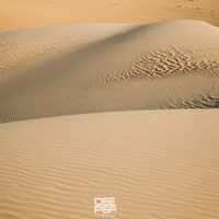 Postman Horns - Dieez