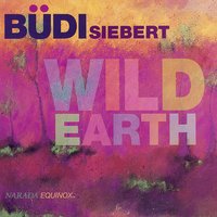 Silent Earth - Budi Siebert