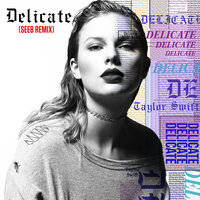 Delicate - Taylor Swift & Seeb