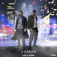 Like a Hawk - J:Kenzo & Flowdan